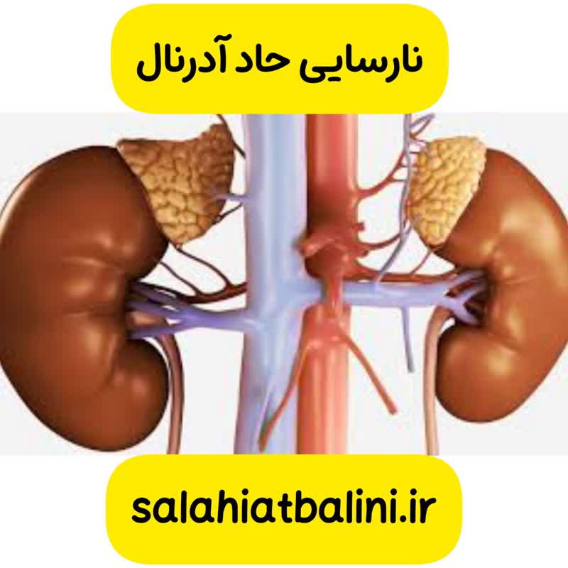 سوالات احتمالی آزمون صلاحیت بالینی ، سوالات شایعه شده صلاحیت بالینی ، سوالات صلاحیت بالینی مرداد 1403 ، آزمون صلاحیت بالینی ، دکتر علی ، دکتر ژیان ، دکترهای خوب ، دانلود سوالات صلاحیت ، خلاصه طلایی صلاحیت بالینی ، 